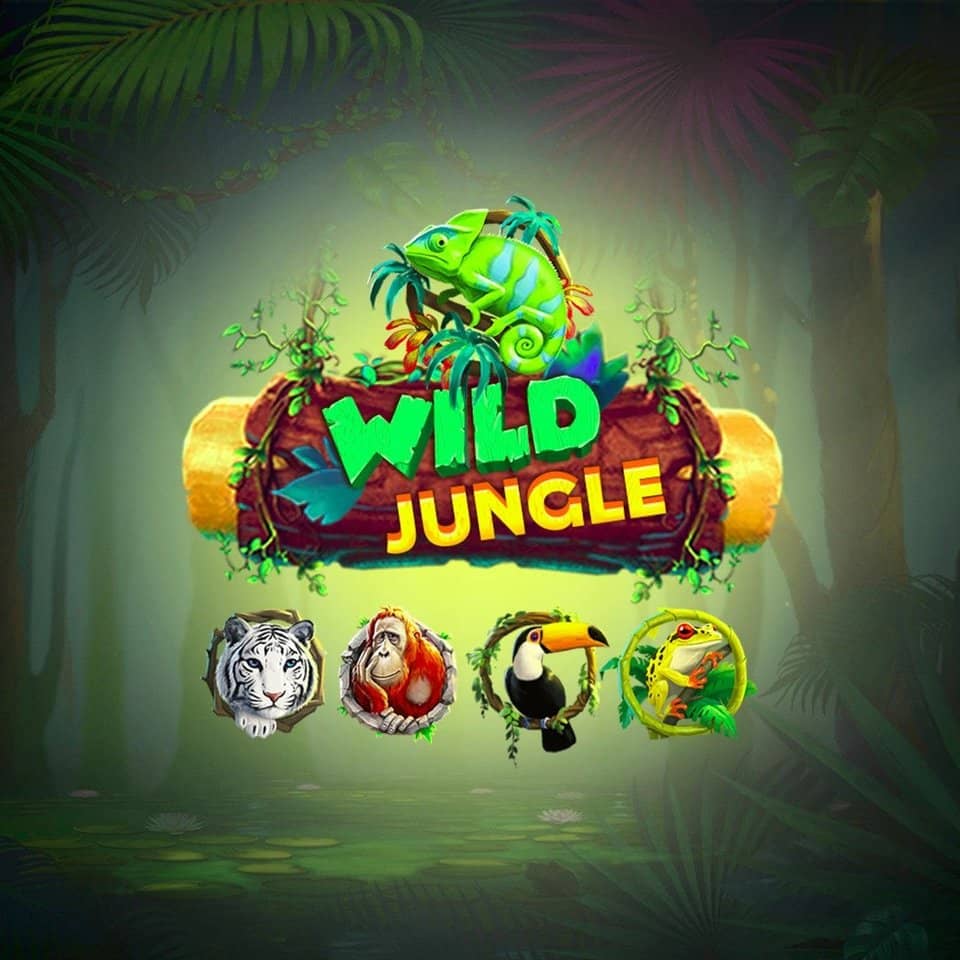Nanogames.io