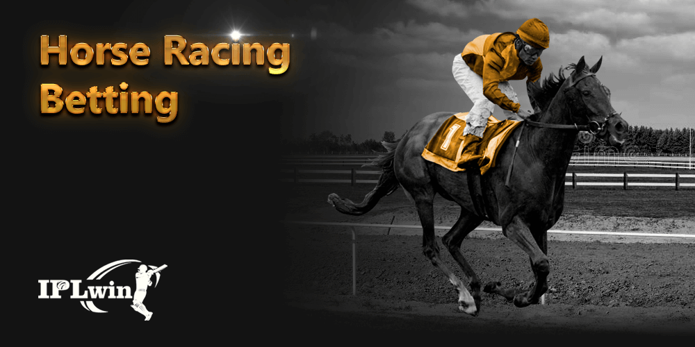 Www.jackpotcitycasino.com