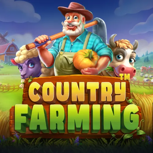 Melhor horário para jogar blaze