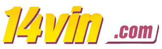 X boom - Insbet
