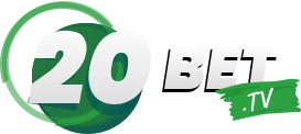 Stake apostas download - Insbet
