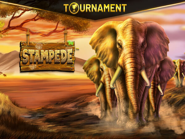 Esporte bet login